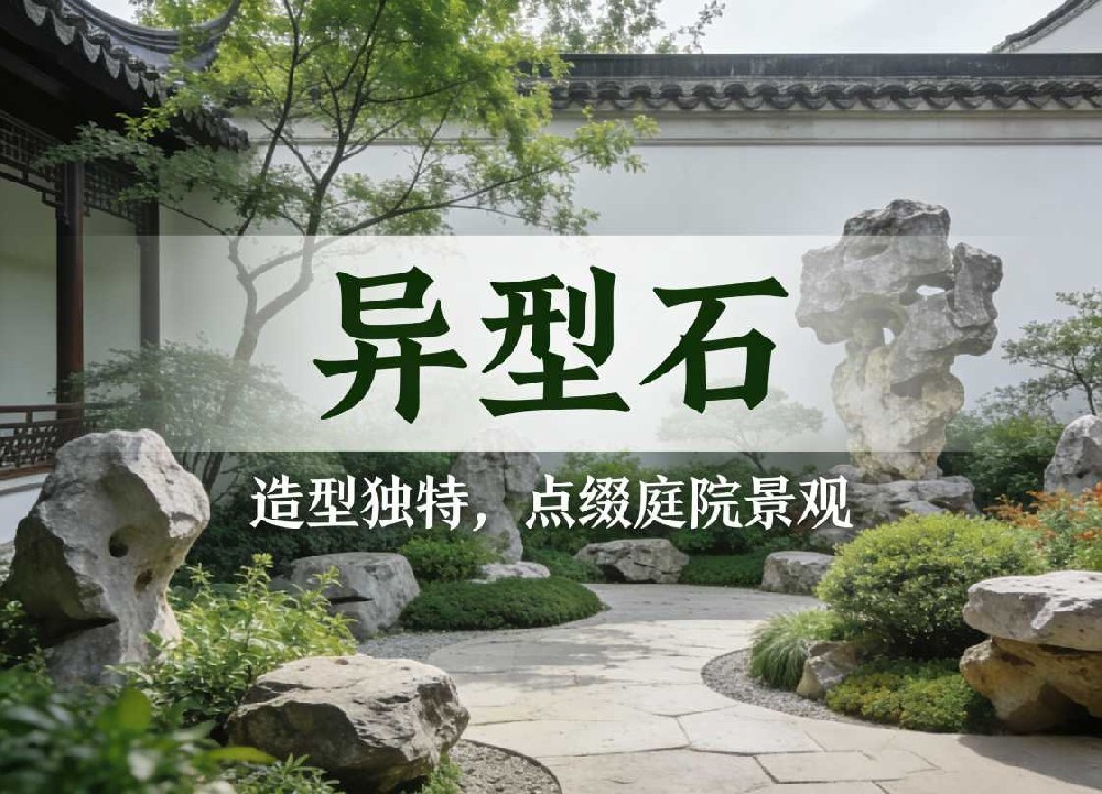 异型石展示
